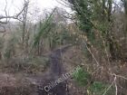 Photo 6x4 Track of dismantled railway Neath/Castell-Nedd Looking east fr c2010