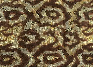 TESSUTO TRAPUNTATO SNAKE SKIN-LOOK ~100% COTONE ~ FQ 100% cotone (iarda disponibile) - Foto 1 di 2