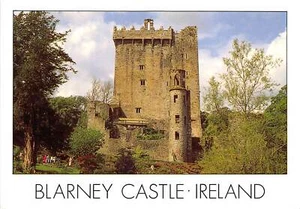 uk49786 Blarney Castle Irlanda - Imagen 1 de 2
