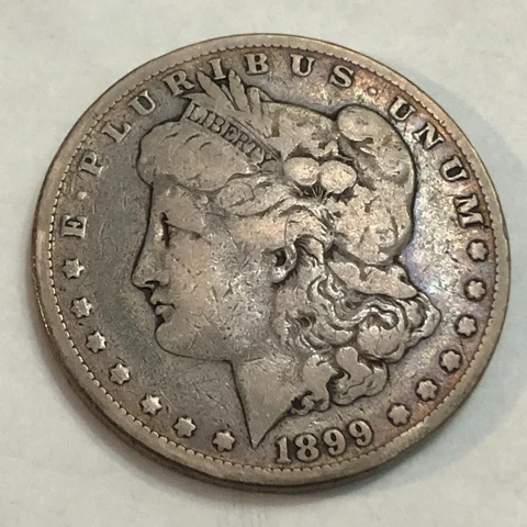 1899 Morgan silver dollar. VG-F, medium grey. #lr2 Cover
