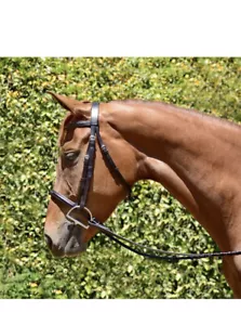 Bobby's English Tack Fairhaven Padded Fancy Stitched Raised Bridle - Picture 1 of 8