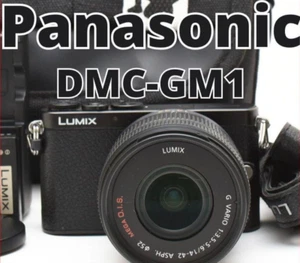 Panasonic Lumix DMC-GM1 Black 16.0MP Digital Camera w/14-42mm Lens Kit - Picture 1 of 9