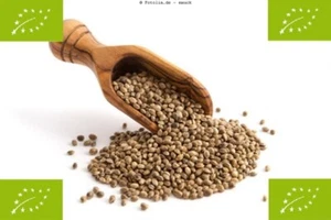 1 kg BIO semillas de cáñamo / nueces de cáñamo sin pelar, calidad de alimentos crudos sin aditivos - Imagen 1 de 1