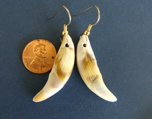 WOLF Zahn (Replik) OHRRINGE Schmuck - echt aussehende WOLF Zähne - Bild 1 von 7