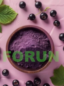 FORUN Black currant Powder 200G NET- Watersoluble, natural,original - Picture 1 of 1