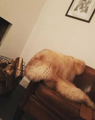 WOOOL Sheepskin Beige LARGE | 100% Natural Soft GENUINE real Lambskin | Eco Pelt - Image 1 of 4