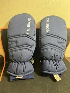 Vintage Saranac Gore-Tex Thinsulate Mittens Men’s Small Blue Insulated Ski Snow - Picture 1 of 11