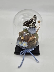 Vintage 1970s Butterfly in Glass Dome Display - Picture 1 of 4