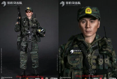 DAMTOYS 78052 CHINESE PEOPLE'S ARMED POLICE FORCE SNOW LEOPARD COMMANDO MEMBER - Image 1 of 4