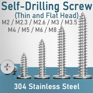 Tornillos Phillips 304 pernos autoperforantes de cabeza plana de acero inoxidable - Imagen 1 de 7