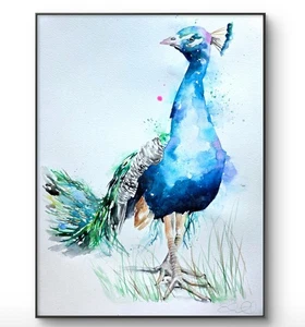 ORIGINAL Aquarell Gemälde signiert Elle Smith Art, Pfau Vogel, Fine Art - Bild 1 von 9