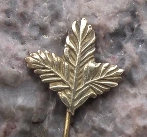 Vintage Pine Twig Hunters Emblem Czechoslovakia Hunting Association Pin Badge - Picture 1 of 5