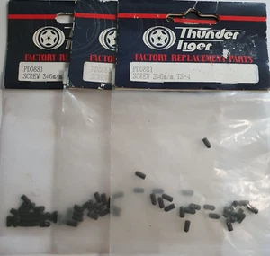 Juego de tornillos Thunder Tiger M3 x 6 mm x 3 paquetes - PD0881 - TS-4 - repuestos RC vintage - Imagen 1 de 4