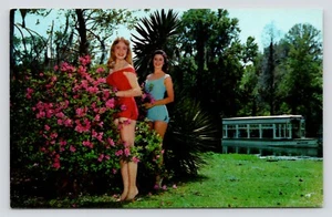 Bathing Beauties Silver Springs Florida Cypress Gardens VTG UNP Postcard - Picture 1 of 2