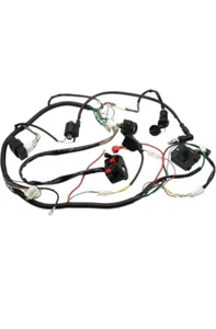 Zongshen CB250R - CB300RL Wireloom Harness - Bild 1 von 2