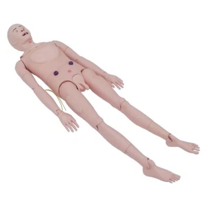 Advanced Patient Care Verbrennung Lehrmodell 24-teilig/Set Trauma Pflegepuppe Modell USA - Bild 1 von 20