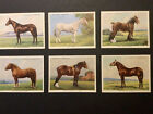 John Player Cigarette Cards Types Of Horses Large 1939 Full Set