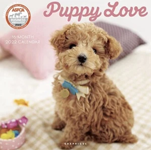 Graphique Puppy Love Wandkalender 2022 - NEU/VERSIEGELT WELPEN BÜROKALENDER - Bild 1 von 5