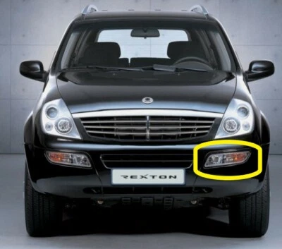 Blinker Nebelleuchte vorne links Turnsignal Lamp Fog LH SsangYong Rexton 02-06 - Bild 1 von 4