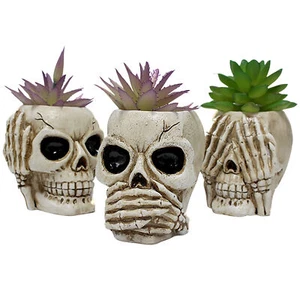 Skull Planter Succulent Planter Pot 3Pcs Resin Skull Head Flower Pots Creative - Picture 1 of 12