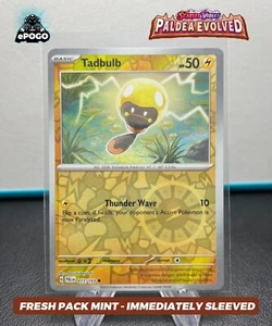 Tadbulb 077/193 Reverse Holo Pokemon TCG: Paladea Evolved MINT SHIPPED TODAY ⚡️ - Picture 1 of 2