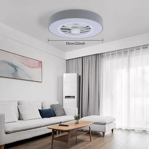 Ceiling Fan Light with Remote Control, Ceiling Fan Lamp for Bedroom Kitchen - Picture 1 of 14