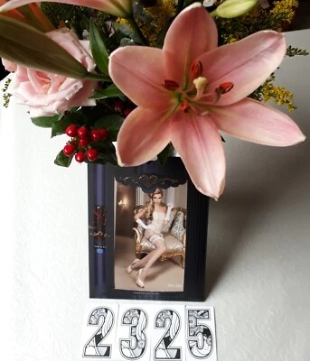 Ballerina’s Secret 256 halterlose Strümpfe mit Spitze in SCHWARZ 20 D L-XL schön 2CU SCHWARZ NEU IN VERPACKUNG - Bild 1 von 4