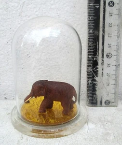 Miniature Pinaceae Wood Elephant in a Glass Jar Samsak Meewan - Picture 1 of 9