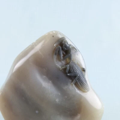 Antigua figura china tallada nefrita Mantis Foto 1 de 4