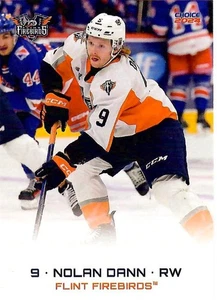 2023/24 Flint Firebirds - NOLAN DANN - Bild 1 von 2