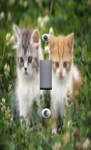 Light Switch Plate Switchplate & Outlet Covers ~ CUTE LITTLE KITTENS CATS - Picture 1 of 26