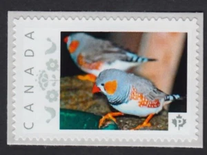 ZEBRA FINCH = UCCELLINO = francobollo immagine nuovo nuovo di zecca Canada 2015 [p15/12bk4/1] - Foto 1 di 2