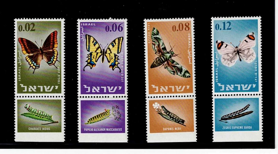 以色列斯科特 #304-07,标签单曲 1965 完整套装 FVF 全新无标签 — 第 1/1 张图片