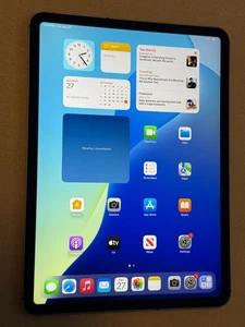 Apple iPad Pro 11" A2013 256 GB, Wi-Fi + 4G, 11 pulgadas - Gris espacial HAIRLINE CRCK - Imagen 1 de 4