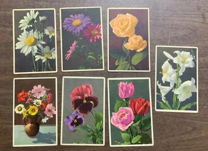 Vintage Thor E. Gyger Floral Flower Color Postcards Switzerland Lot Of 7 - Picture 1 of 4