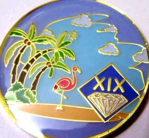 Beach Blue Narcotics Anonymous NA 19 Year Medallion Gold purple token coin pink - Picture 1 of 8