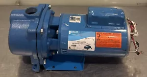 Goulds GT30 Bomba Irrigador Bomba Centrífuga MOTOR DAÑADO ¡NUEVO! ¡ENVÍO GRATUITO! - Imagen 1 de 16