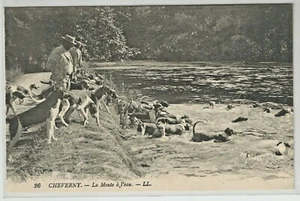 C.P.A / THÈME / CHASSES DIVERS / CHEVERNY LA MEUTE A L'EAU - Imagen 1 de 1