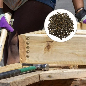  500 Piezas Sombrero Retro Uñas Decorativas Uñas Muebles Tapicería Prendedores - Imagen 1 de 17