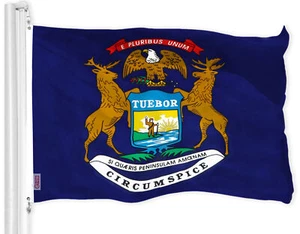 Michigan MI State Flag 3x5 FT Printed 150D Polyester Great Lakes State By G128 - Picture 1 of 5