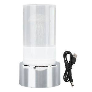 Decorative Table Lamp USB Charging Acrylic Desk Lamp For Nightstand Modern