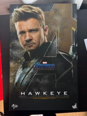 Figura de acción Hot Toys Avengers Endgame escala 1/6 Hawkeye - MMS531 COMO NUEVA Foto 1 de 2