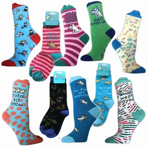 Teddy der Hund Socken 8 Designs Sohlenverwandte gut gespielt Total Sit Show Don't Ask - Bild 1 von 22