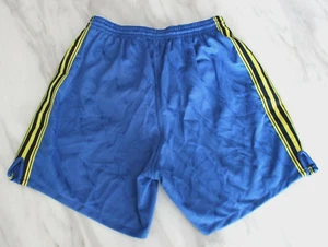 Vintage Puma Vintage Blue Mens Short Football Run Retro Racing 90s Nylon Rare M - Picture 1 of 7