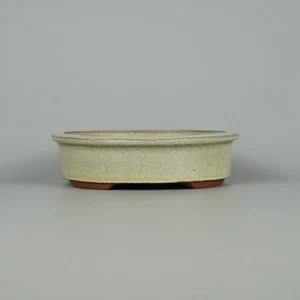 Neu Tokoname Bonsai Topf Eimei weiß oval glasiert SESSOKU japanische Keramik - Bild 1 von 6