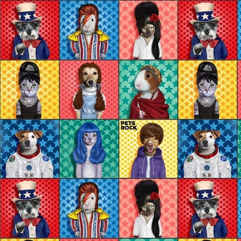 Cuadrados de algodón Michael Miller Pets Rock DDC10260 Foto 1 de 1