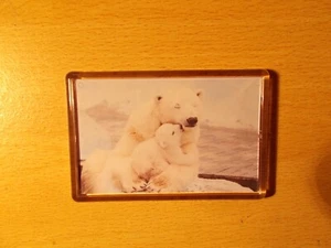 Kühlschrankmagnet Eisbär mit Jungtier Foto - Bild 1 von 2
