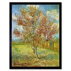 Vincent Van Gogh Pink Peach Tree Blossom Reminiscence Mauve 12X16 Framed Print