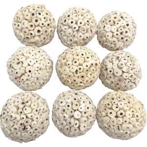 5101 Big Sola Balls - Handmade Shreddable Chewable Sola Wood Big Bird Foot Toys - Picture 1 of 31