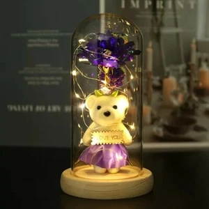 Enchanted Eternal Rose Flower In Glass Dome LED Light Valentine's Day Gift Deco - Picture 1 of 1